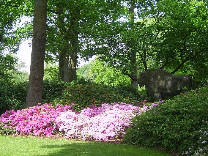 Rhododendronpark in Berlin